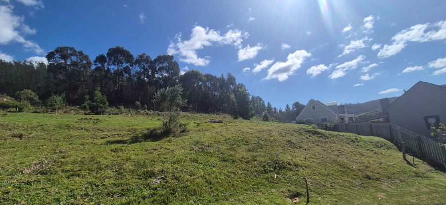 0 Bedroom Property for Sale in Green Pastures Western Cape